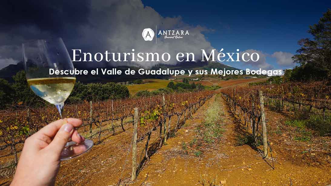 Enoturismo en México: Descubre el Valle de Guadalupe y sus Mejores Bodegas