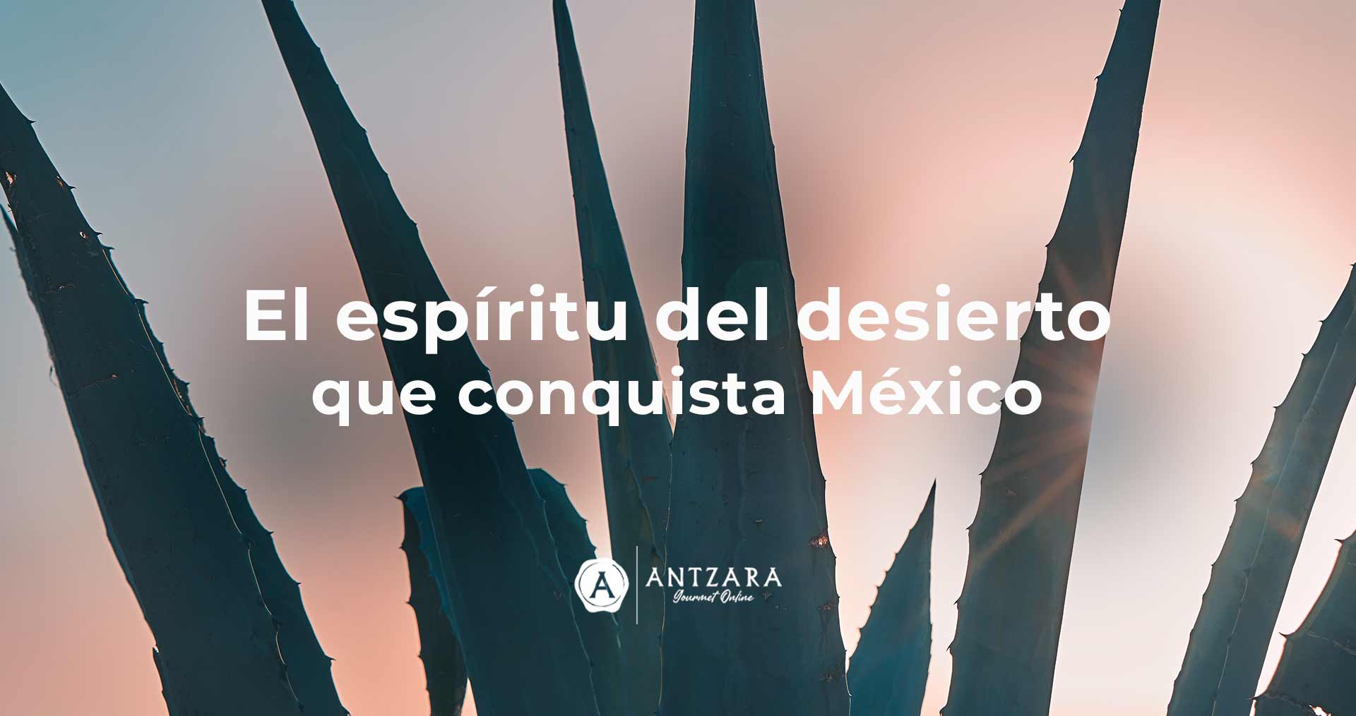Bacanora 100 Pueblos: El espíritu del desierto que conquista México