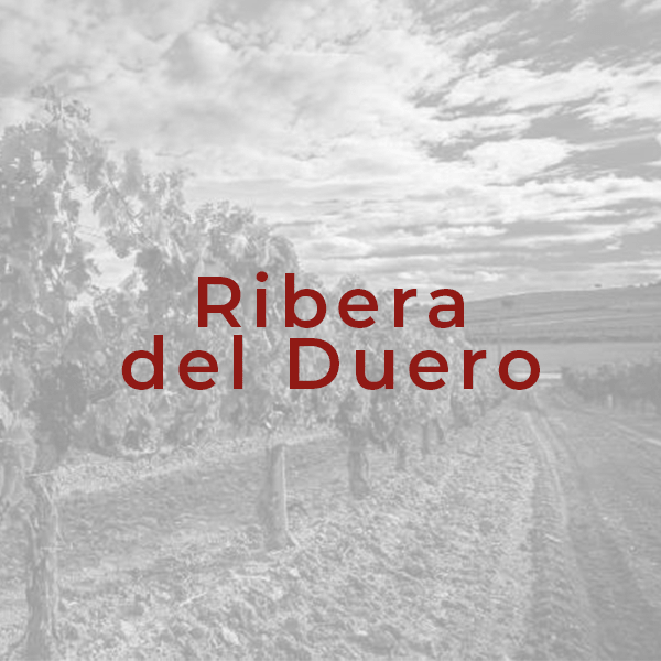 Ribera del Duero