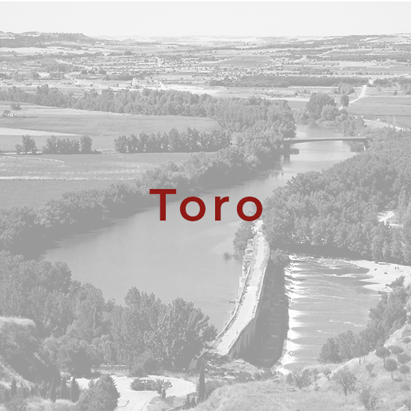 Toro