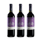 Promo 3X2 - Vino Tinto - Cono Sur Bicicleta Merlot - 750 ml HOTSALE