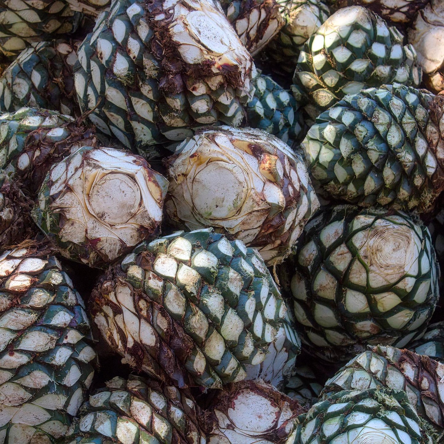 Mezcal Espíritu Lauro Joven de 50 ml - México, Oaxaca