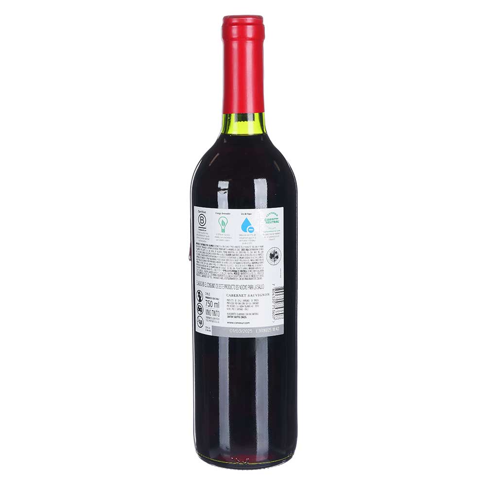 Promo 3X2 - Vino Tinto - Cono Sur Bicicleta Cabernet Sauvignon - 750 ml