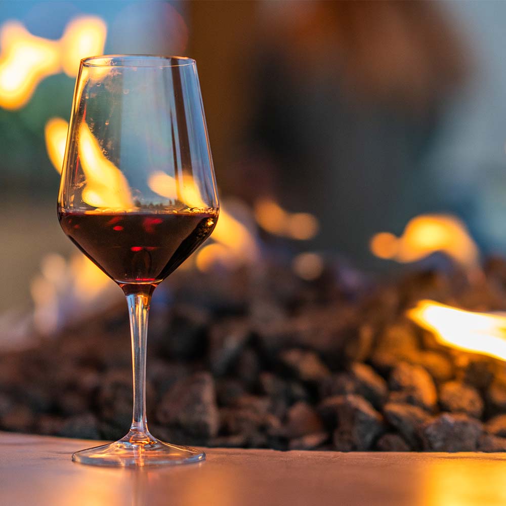 Vino Tinto Camins 2023 de 750 ml - España