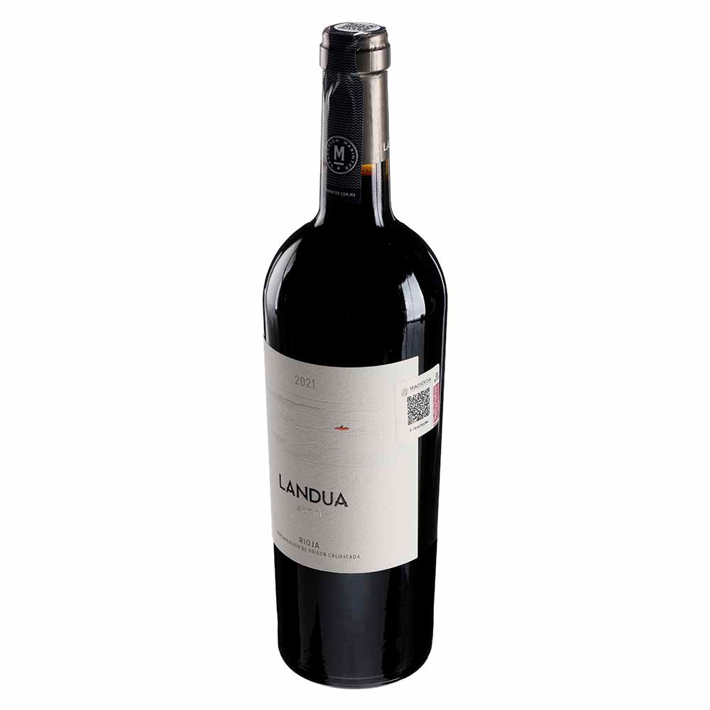 Vino Tinto Aiurri Landua 2021 de 750 ml - España