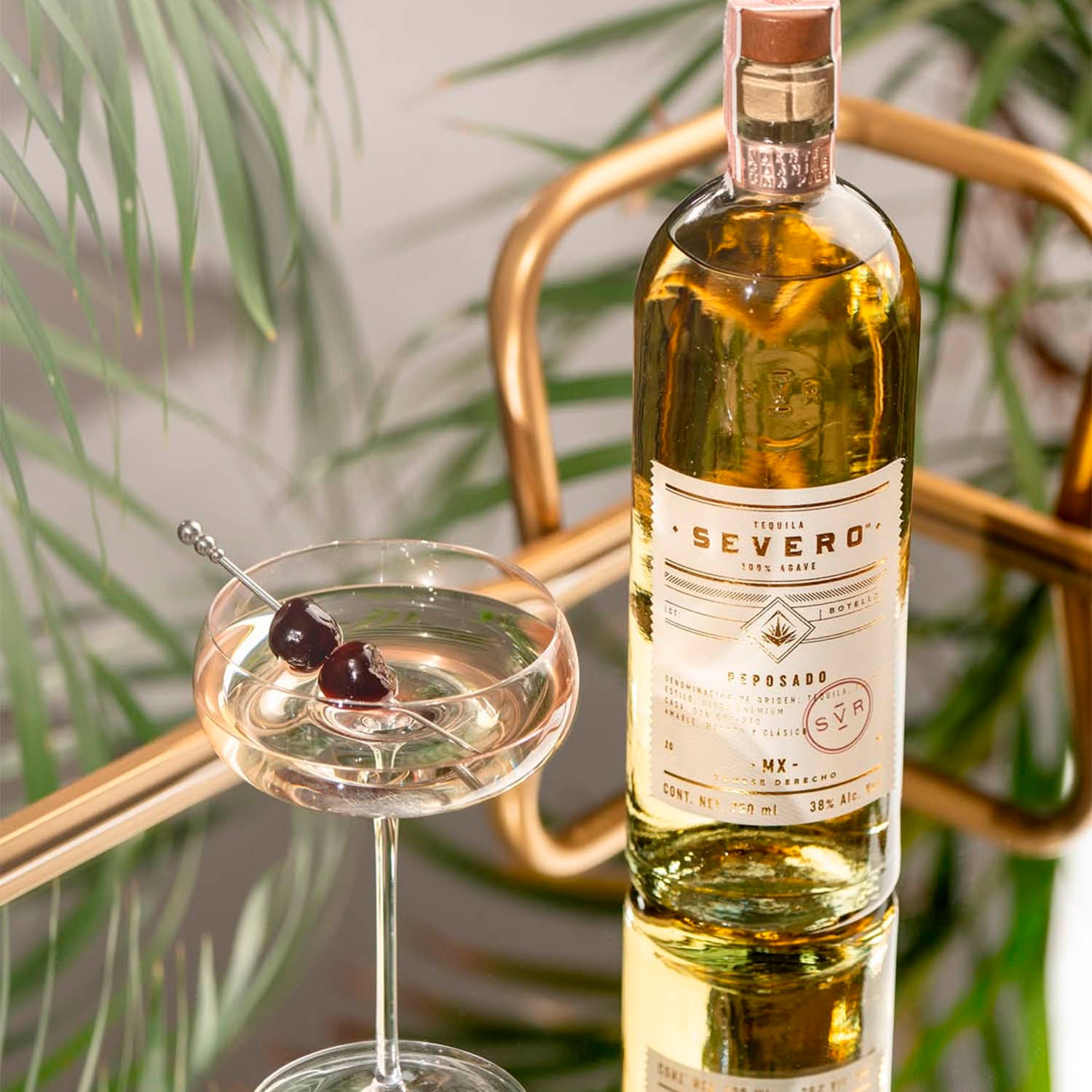 Destilados y Licores